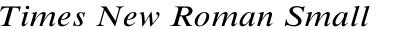 Times New Roman Small Text Std Italic
